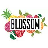 Blossom