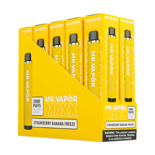 Mr. Vapor MAXX NTN - Disposable Vape Device - Grape Freeze - 10 Pack